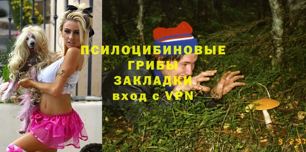 эйфоретик Алзамай