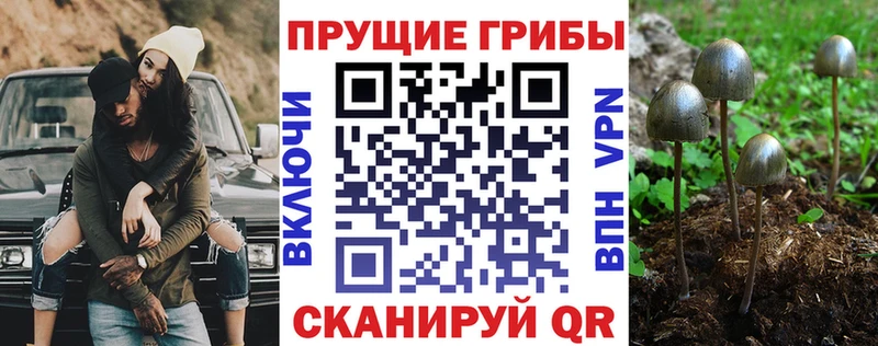 Галлюциногенные грибы мухоморы  Мыски 